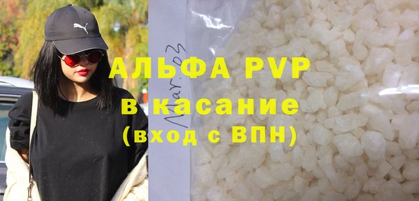 индика Бронницы