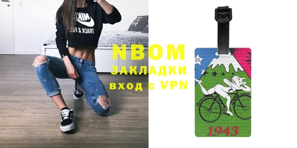 индика Бронницы