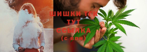 индика Бронницы