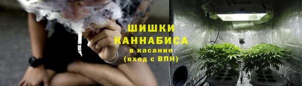 мдпв Снежинск