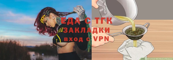индика Бронницы