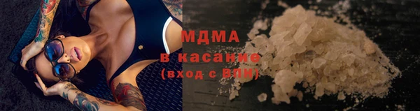 индика Бронницы