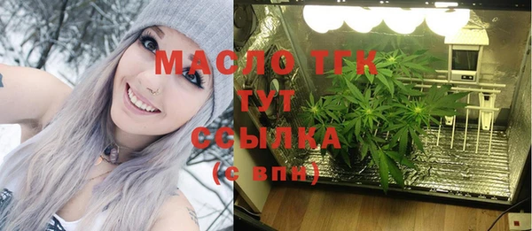 индика Бронницы