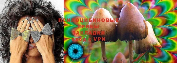 амф Бугульма