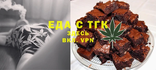 индика Бронницы