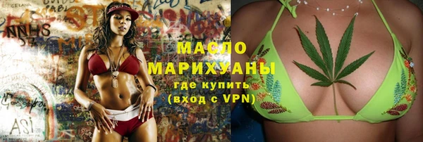индика Бронницы