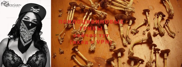 индика Бронницы