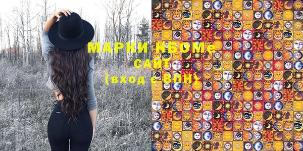 индика Бронницы