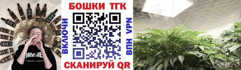 Конопля сатива  это телеграм  Новосокольники 